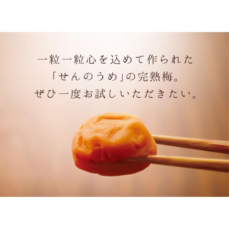 【A級品】紀州南高梅 しそ梅 500g 塩分12％ / 梅干し 梅干 うめぼし 南高梅 しそ梅 しそ梅干し シソ 紫蘇 国産 梅 うめ ウメ 完熟 健康 ご飯のお供 贈り物 ギフト プレゼント お取り寄せ せんのうめ 和歌山県 田辺市 仙宝【spo007】