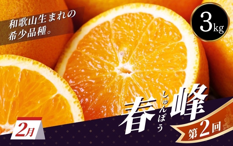 ＼新登場／ 【全3回定期便】和歌山のプレミア柑橘定期便 （越冬早生みかん・せとか・春峰） ※2026年1月より3回お届け / みかん 定期便 柑橘 せとか フルーツ 早生みかん ミカン 和歌山 果物 田辺市 くだもの【tcs012-tk】