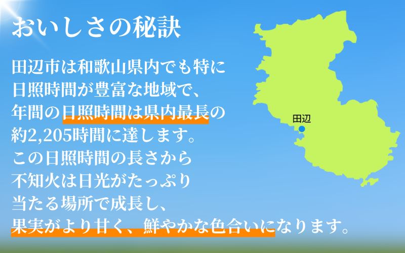 紀州田辺の 不知火 5kg（2026年3月頃から順次発送予定） / デコポン でこぽん 柑橘 和歌山 みかんランキング 果物 くだもの フルーツ 柑橘 産地直送 国産 和歌山 【tcs017-1】