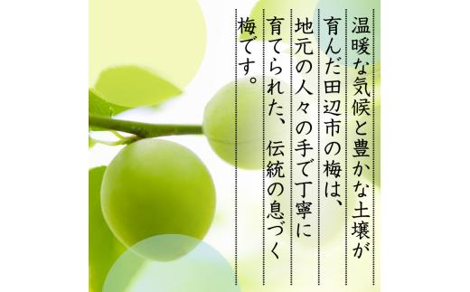 【先行予約】 青梅【小梅】 3kg（2026年5月頃から順次発送予定） / 生梅 梅干し 小粒 梅酒 梅ジャム 梅シロップ 産地直送 国産 和歌山 【tcs019】