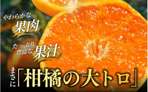 ＼数量限定／ 露地栽培のせとか 3kg / せとか 柑橘の大トロ 高級 ブランド 希少なせとか 品種 和歌山蜜柑 和歌山ミカン 高級みかん 人気みかん 果物 くだもの フルーツ 柑橘 蜜柑 産地直送 国産 和歌山 【tcs027】