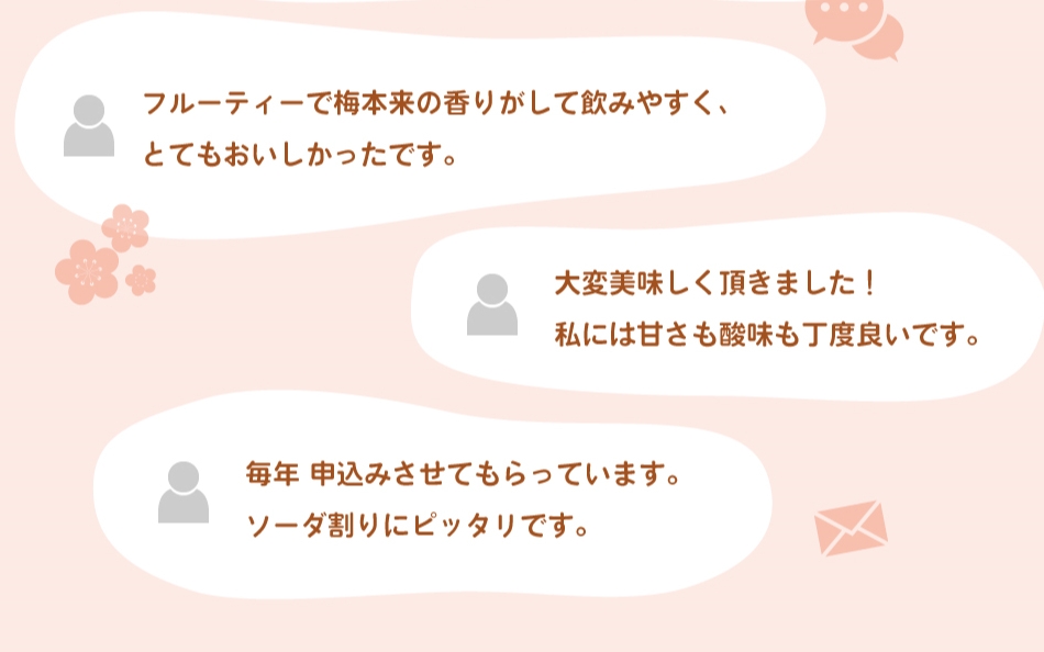 梅酒 紀州梅酒 720ml×4本入（化粧箱なし） / お酒 酒 リキュール 梅 南高梅 紀州南高梅 和歌山 田辺市 ロック 水割り 宅飲み 家飲み 家庭用 化粧箱なし【umy001】