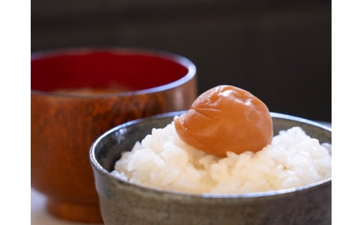 紀州産南高梅 いなか風味 塩分約18％ 600g 木箱/ 梅干し 梅干 梅 和歌山 田辺 紀州南高梅 南高梅 磯塩 防腐剤不使用 ご飯のお供 スポーツ 運動 塩分補給【wrb008-1】