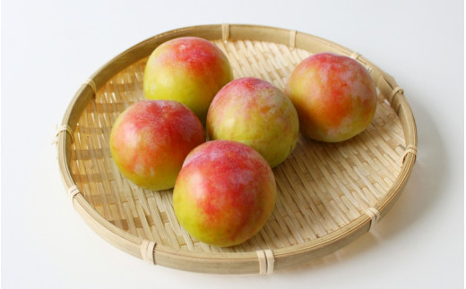 ＜先行予約＞すもも（サマーエンジェル）4パック ※2025年6月下旬～7月上旬頃に順次発送予定【期間限定・数量限定】 / スモモ プラム 冷蔵 季節限定 お取り寄せ 産地直送 贈答品 ギフト 果物 フルーツ 田辺市 和歌山県【ymh013】