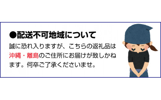 紀州蔵出し 完熟南高梅 はちみつ漬 800g / 田辺市 紀州南高梅 南高梅 梅干し 梅干 梅 うめ 肉厚 お米 おにぎり 焼酎 梅酒 健康 はちみつ漬け梅干し ハチミツ 蜂蜜 甘口 和歌山【kms017-1】