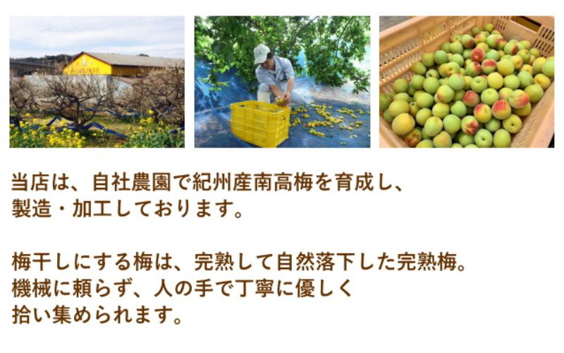 紀州南高梅 やわらか干し梅 はちみつ入り 260g / 和歌山 和歌山県産 田辺市 南高梅 干し梅 種なし はちみつ干し梅 柔らかい干し梅 個包装【nag003】