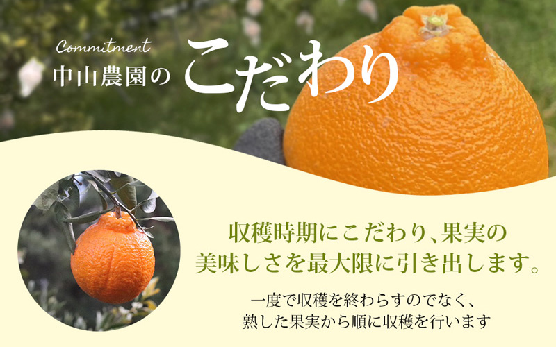【期間限定・2026/1/31まで】不知火4kg※2026年3月から順次発送予定※ / 和歌山県 しらぬい デコポン フルーツ 果物 柑橘 田辺市 【nak015-1】