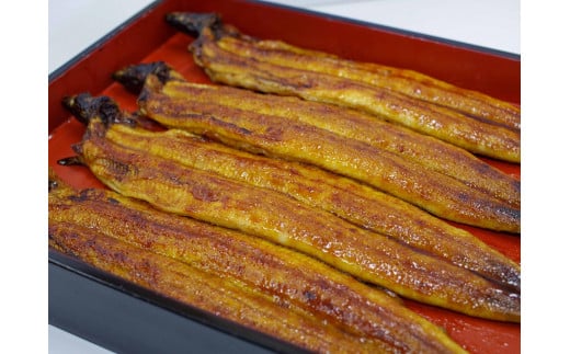 国産うなぎ 蒲焼3本と白焼2本の紅白セット / 和歌山 田辺市 国産 国産うなぎ 国産鰻 うなぎ 鰻 鰻丼 うな丼 土用の丑の日  白焼 蒲焼 セット 紅白 【ots023】