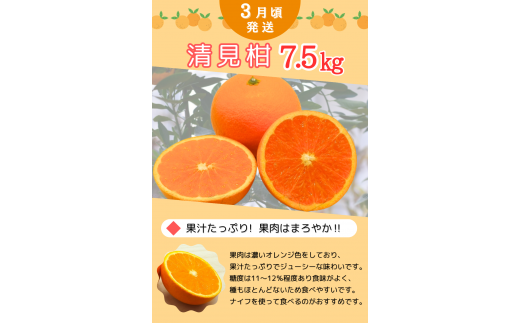 【先行予約】【全3回定期便】紀州田辺産　厳選みかん３回コース【期間限定：2025/11/30まで】 / 田辺市 よってって みかん 不知火 温州みかん 清見柑 しらぬい きよみ ミカン 温州ミカン 3回コース【prs004-tk】