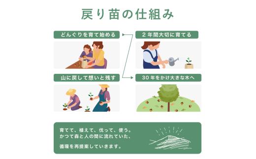 【どんぐりを育て、森に返す】 戻り苗 オリジナルデザイン対応 （ヒノキの鉢タイプ） 1セット ※2025年秋頃から配送 / 観葉植物 苗 苗木 植物 育苗 鑑賞 鉢植え 和歌山 ギフト 贈り物 どんぐり 紀州材 檜 ソマノベース 森【smn002】