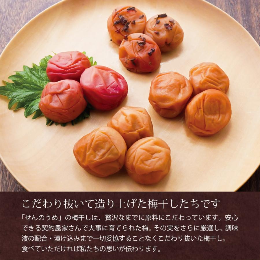 【A級品】紀州南高梅 しそ梅 500g 塩分12％ / 梅干し 梅干 うめぼし 南高梅 しそ梅 しそ梅干し シソ 紫蘇 国産 梅 うめ ウメ 完熟 健康 ご飯のお供 贈り物 ギフト プレゼント お取り寄せ せんのうめ 和歌山県 田辺市 仙宝【spo007】