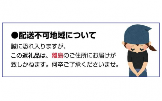 ＼先行予約／ いちご まりひめ 【ご家庭用】 約300g×4パック M～3Lサイズ （サイズ指定不可） 2025年12月頃から順次発送 / いちご まりひめ 和歌山ブランド イチゴ 和歌山 果物 フルーツ 野菜 苺 冷蔵 冬 家庭用 12月配送 1月配送 2月配送 【tcs003】