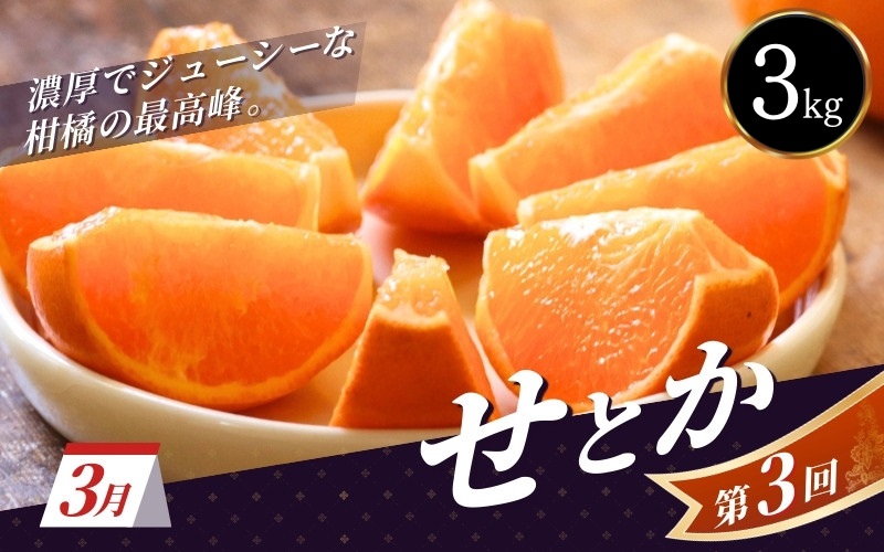 ＼新登場／ 【全3回定期便】和歌山のプレミア柑橘定期便 （越冬早生みかん・せとか・春峰） ※2026年1月より3回お届け / みかん 定期便 柑橘 せとか フルーツ 早生みかん ミカン 和歌山 果物 田辺市 くだもの【tcs012-tk】