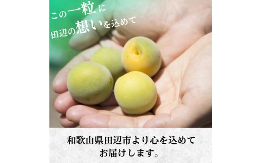 【先行予約】 青梅【小梅】 3kg（2026年5月頃から順次発送予定） / 生梅 梅干し 小粒 梅酒 梅ジャム 梅シロップ 産地直送 国産 和歌山 【tcs019】