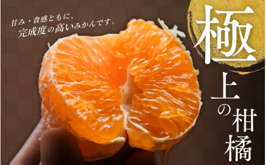 ＼数量限定／ 露地栽培のせとか 3kg / せとか 柑橘の大トロ 高級 ブランド 希少なせとか 品種 和歌山蜜柑 和歌山ミカン 高級みかん 人気みかん 果物 くだもの フルーツ 柑橘 蜜柑 産地直送 国産 和歌山 【tcs027】