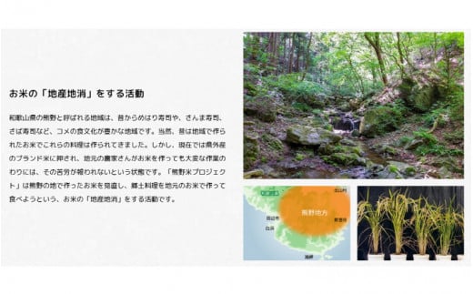 紀州のお米 熊野米2kg / 田辺市 熊野 熊野米 ブランド米 米 ひかり新世紀 お米 コシヒカリ型品種 和歌山 紀州 おこめ ご飯【tgm008-2】 