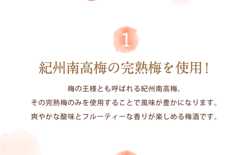 梅酒 紀州梅酒 720ml×4本入（化粧箱なし） / お酒 酒 リキュール 梅 南高梅 紀州南高梅 和歌山 田辺市 ロック 水割り 宅飲み 家飲み 家庭用 化粧箱なし【umy001】