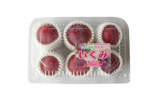 ＜先行予約＞すもも（いくみ）4パック ※2025年6月上旬～6月中旬頃に順次発送予定【期間限定・数量限定】 / スモモ プラム 冷蔵 季節限定 お取り寄せ 産地直送 贈答品 ギフト 果物 フルーツ 田辺市 和歌山県【ymh009】