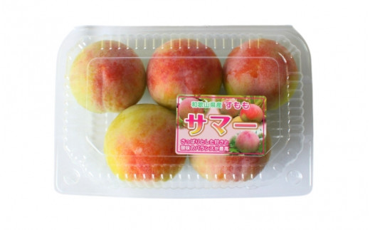 ＜先行予約＞すもも（サマーエンジェル）4パック ※2025年6月下旬～7月上旬頃に順次発送予定【期間限定・数量限定】 / スモモ プラム 冷蔵 季節限定 お取り寄せ 産地直送 贈答品 ギフト 果物 フルーツ 田辺市 和歌山県【ymh013】