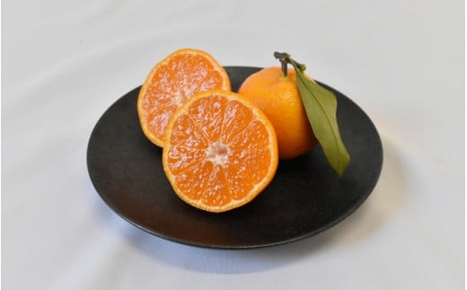 【2026年分先行予約】大坊の越冬木熟みかん 3kg ※2026年1月上旬～2月上旬頃に順次発送予定【期間限定・数量限定】 / みかん 蜜柑 3キロ お取り寄せ 産地直送 贈答品 ギフト 果物 くだもの フルーツ 田辺市 和歌山県【ymh021】