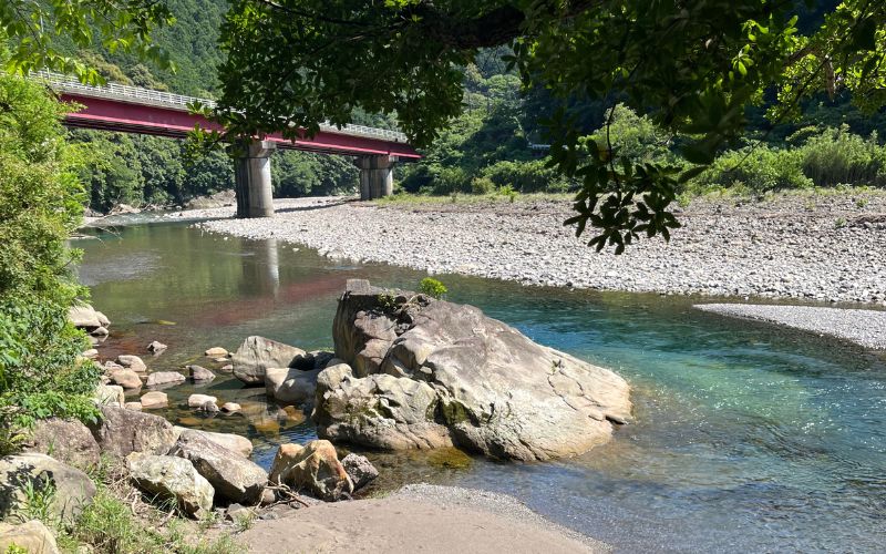 【愛犬と宿泊】 グランピング DOG PALACE camp village 宿泊利用券5000円分 /  旅行 宿泊 リラックス  和歌山 田辺市 熊野古道【dpc002】