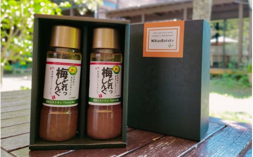 農家のお母さん手づくり梅ドレッシング  200ml×2本  /  野菜 サラダ 調味料 ギフト お取り寄せ 和歌山県 田辺市 【grt009-1】
