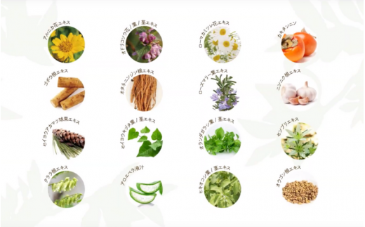 秋津野　美柑のシャンプー＆トリートメント　セット  各300ml  /  シャンプー トリートメント ノンシリコン 植物由来 お風呂 美容  和歌山県 田辺市 【grt010-1】