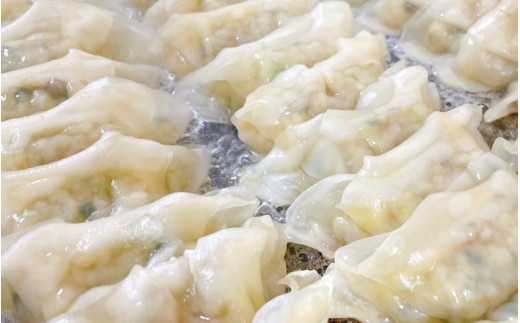 大西の餃子パーティーセット(にんにく餃子・梅餃子)　25個入り×各2パック　計100個 / 和歌山県 田辺市 ぎょうざ ギョウザ ギョーザ にんにく不使用 手作り 紀州うめぶた 紀州南高梅 南高梅 宝梅使用 無添加 冷凍【gyz009-2】