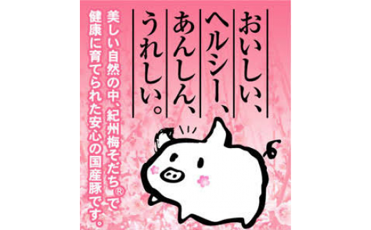 にんにく餃子セット 計100個(25個入り×4パック) / 和歌山県 田辺市 ぎょうざ ギョウザ ギョーザ 手作り 紀州うめぶた 無添加 冷凍【gyz014】