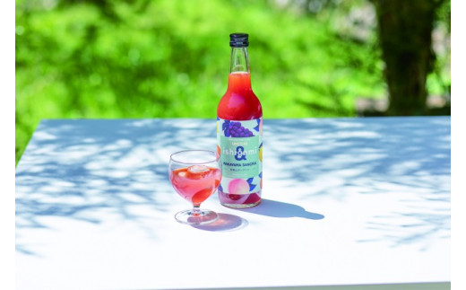 梅酒ishigami&（イシガミアンド) 600ml×4本セット / 田辺市 梅干し 梅干 梅 うめ 梅ジュース 炭酸割り 紀州産 フルーツ【isg039-1】