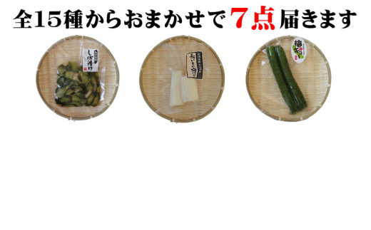 おまかせ７点セット / 漬物 冷蔵 ごはんのおとも 大根 きゅうり 白菜 古漬 梅漬け キムチ 浅漬け ぬか漬け 和歌山 田辺市【ksn003-1】
