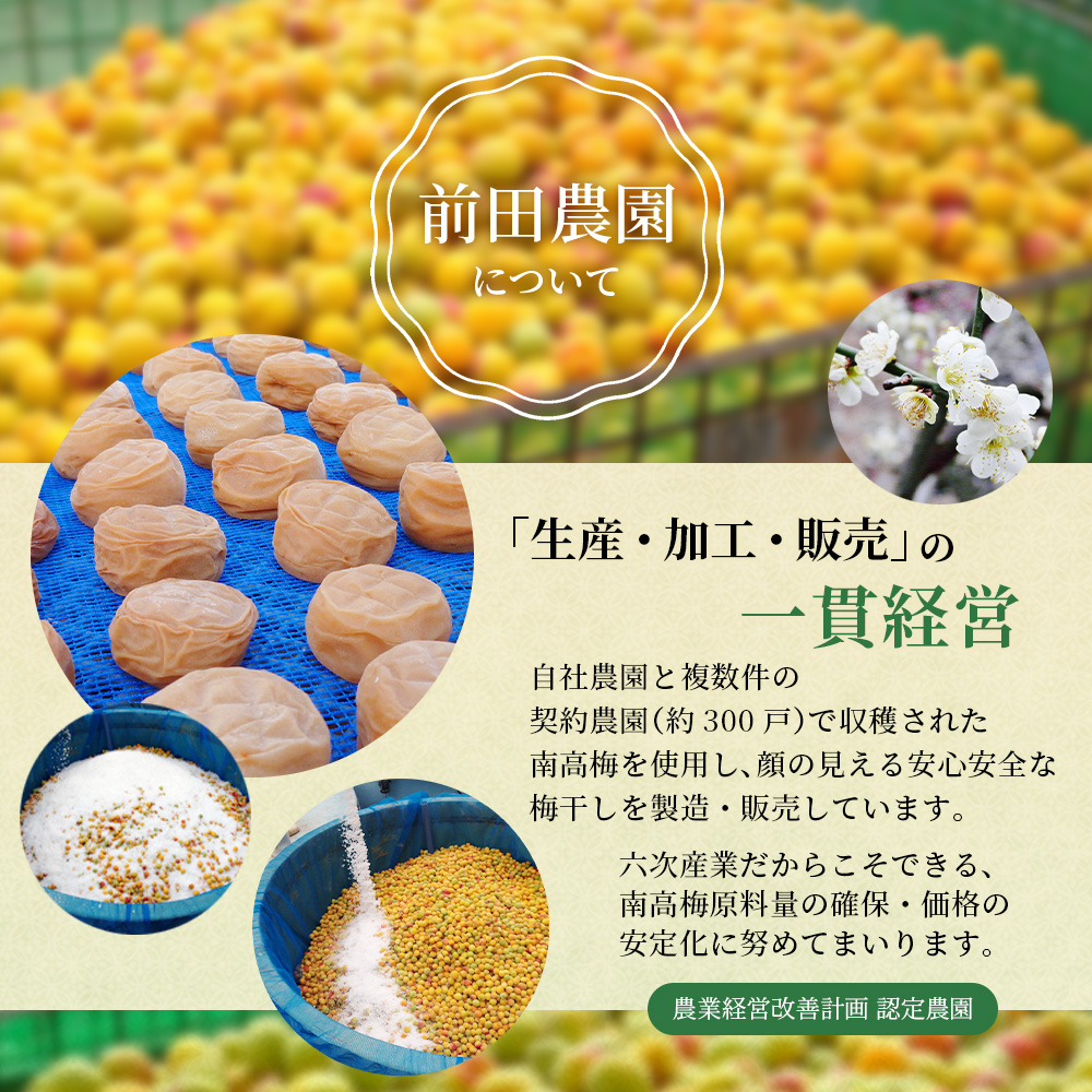 大粒 たっぷり浸かったしそ漬け梅 1kg×1パック 塩分10％ / お歳暮 紀州南高梅 訳ありでない 梅干 うめぼし 南高梅 しそ梅 シソ 紫蘇 国産 梅 うめ ウメ ご飯 和歌山県 田辺市 前田農園 お中元 お歳暮 贈答用 【mae003-2】 