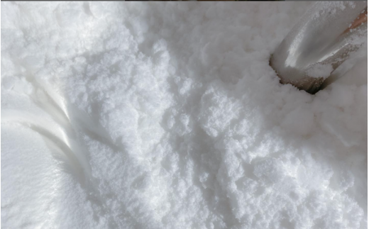 環境保全型除菌洗浄剤　クリネスト 500g / 洗剤 除菌 洗浄 環境保全 お掃除 そうじ 天然由来 水回り つけ置き 【mgr001】