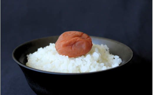 紀州南高梅　ほんまもんの梅干し　白干し梅（塩分約20%）630g / 田辺市 A級品 2L 3L 南高梅 白干 白干梅 梅干 梅 うめ 肉厚 お米 おにぎり 和歌山県【mry024】