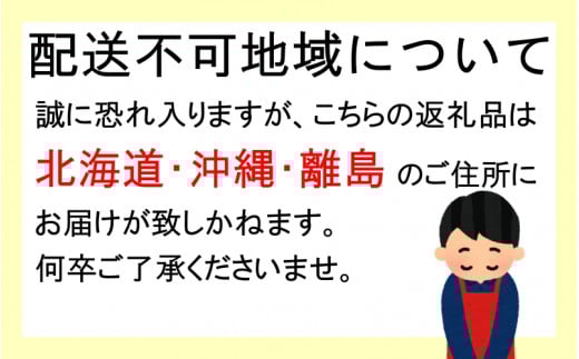 先行予約 すもも（フランコ）2kg  ※6月中旬～7月中旬頃に順次発送予定【期間限定・2026/6/20まで】 / スモモ お取り寄せ 期間限定 夏 フルーツ 果物 サンタローザ 和歌山県 田辺市【mtm003-1】