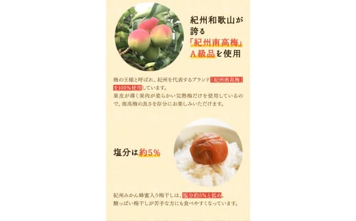 粒よりおいしい梅干 (特選）紀州みかん蜂蜜入り12粒入 和紙調個別包装 （塩分約5％） / はちみつ梅干し 梅干し 和歌山 田辺市 紀州南高梅 南高梅 梅 肉厚 大玉 大粒 個包装 みかん蜂蜜 はちみつ【mtz014-1】