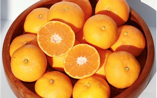 【先行予約】完熟早生みかん　宮川早生１０kg※2026年12月から順次発送予定※ 【期間限定・12/20まで受付】/ 和歌山県 ミカン フルーツ 果物 柑橘 田辺市 【nak007-1】