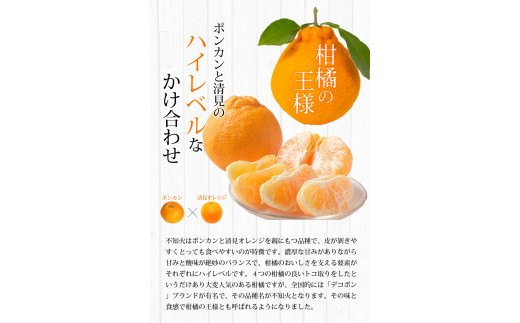 【期間限定・2026/1/31まで】不知火1kg※2026年3月から順次発送予定※ / 和歌山県 しらぬい デコポン フルーツ 果物 柑橘 田辺市 【nak014-1】