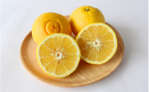 晩柑  はるか    三栖の『はるか』’ｓ11個入　 ※２月中旬～3月上旬頃に順次発送予定【期間限定・先行予約・1月末まで】 / 柑橘 果実酒 ピール マーマレード  さっぱり 田辺市 希少 晩柑【ngm008-2】