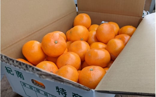 <先行予約>ひなたのみかん　3kg (箱込み）※2025年12月頃に順次発送予定【期間限定・先行予約・2025/12/25まで】 / 田辺市 みかん 期間限定 先行予約 ミカン 和歌山 紀州【okm002-1】