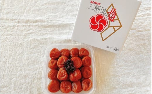 紀州南高梅　三栖里の梅（塩分10%）　500g  / 田辺市 紀州南高梅 南高梅 梅干し 梅干 梅  肉厚 お米 おにぎり 焼酎 梅酒 健康 【ske021-1】