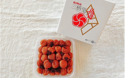 紀州南高梅　かつお梅（塩分10%）　500g  / 田辺市 紀州南高梅 南高梅 梅干し 梅干 梅  肉厚 お米 おにぎり 焼酎 梅酒 健康 【ske023-1】