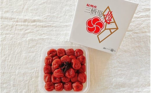  紀州南高梅　しそ梅（塩分13%）　500g  / 田辺市 紀州南高梅 南高梅 梅干し 梅干 梅  肉厚 お米 おにぎり 焼酎 梅酒 健康 【ske024-1】
