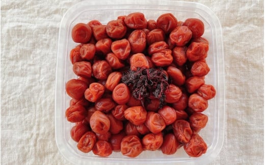 紀州小梅　しそ小梅（塩分13％）　500g  / 田辺市 紀州南高梅 南高梅 梅干し 梅干 梅  肉厚 お米 おにぎり 焼酎 梅酒 健康 小梅 【ske029-1】