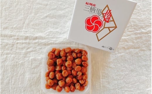 紀州小梅　紀州土用干小梅（塩分20％）　500g  / 田辺市 紀州南高梅 南高梅 梅干し 梅干 梅  肉厚 お米 おにぎり 焼酎 梅酒 健康 小梅 【ske030-1】