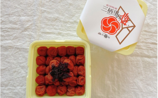 紀州南高梅　三栖里の梅（塩分10%）　2kg  / 田辺市 紀州南高梅 南高梅 梅干し 梅干 梅  肉厚 お米 おにぎり 焼酎 梅酒 健康 【ske031-2】