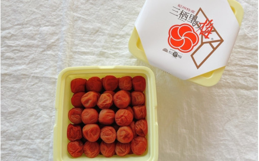 紀州南高梅　紀州土用干梅（塩分21％）　2kg  / 田辺市 紀州南高梅 南高梅 梅干し 梅干 梅  肉厚 お米 おにぎり 焼酎 梅酒 健康 【ske036-2】