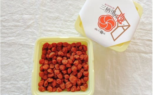 紀州小梅　紀州土用干小梅（塩分20％）　2kg  / 田辺市 紀州南高梅 南高梅 梅干し 梅干 梅  肉厚 お米 おにぎり 焼酎 梅酒 健康 小梅 【ske040-2】