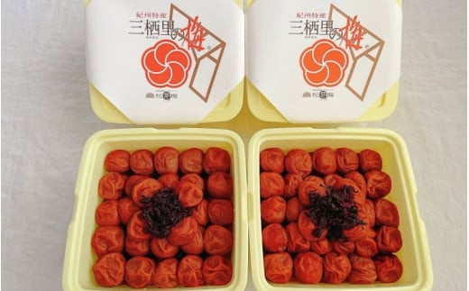 紀州南高梅　三栖里の梅（塩分10%）　4kg(2kg×2個）  / 田辺市 紀州南高梅 南高梅 梅干し 梅干 梅  肉厚 お米 おにぎり 焼酎 梅酒 健康 【ske041-2】