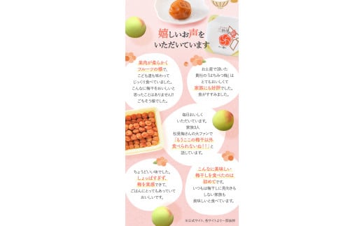 紀州南高梅 はちみつ梅干し （塩分8％）4kg(2kg×2個）A級品 / 和歌山 梅干し 田辺市 紀州南高梅 南高梅 梅干 梅 小梅 はちみつ使用 はちみつ梅 肉厚 お米 おにぎり 焼酎 梅酒 健康 はちみつ梅 塩分8％ 塩分控えめ【ske042-2】